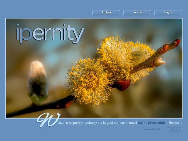 ipernity homepage with #1488