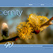 ipernity homepage with #1488