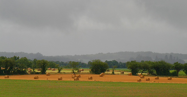 Pluie sur la campagne