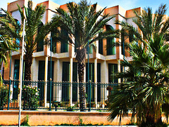 Palais de Culture de ma ville TLEMCEN.