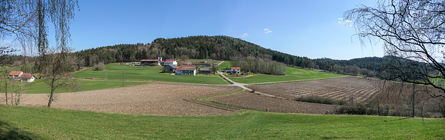 Thierling-5