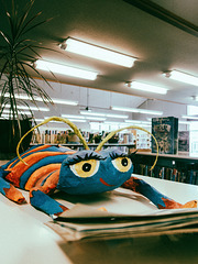 Library Bug
