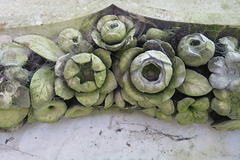 arnos vale cemetery (45)