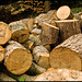 Chopped logs