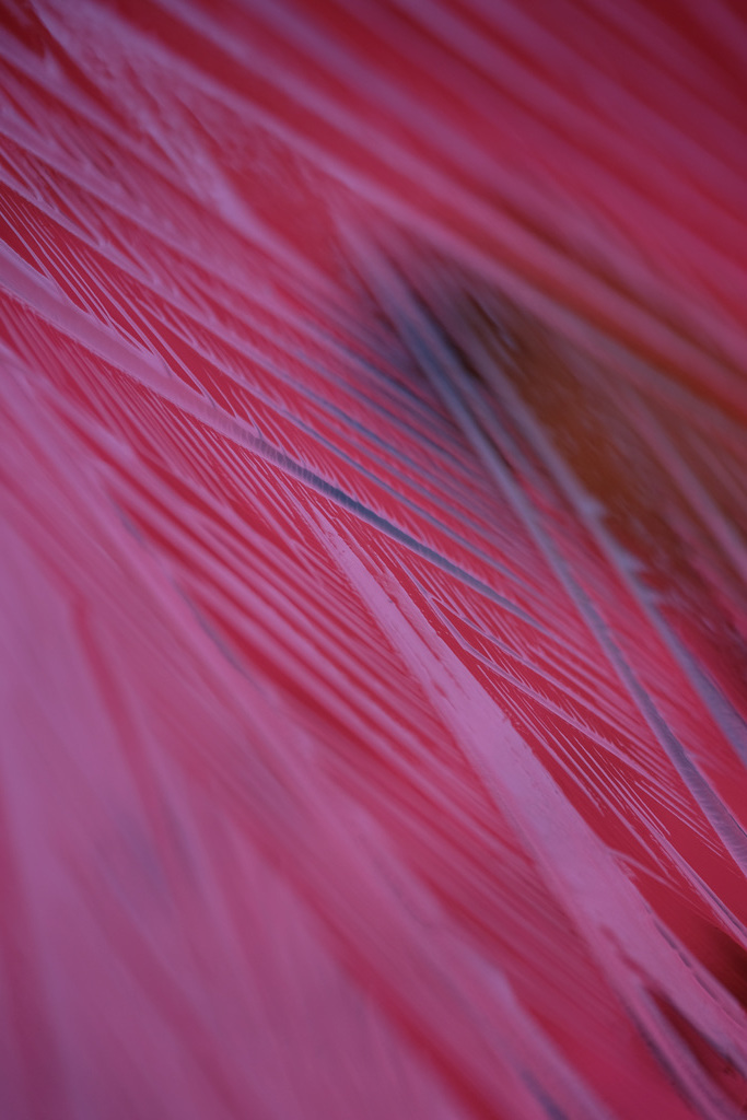 DSCF1544
