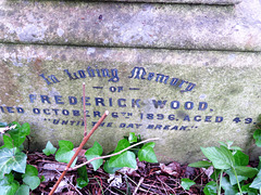 abney park cemetery, london,elegant angel  for frederick wood 1896