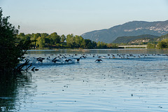 Le lac du Lit du Roi