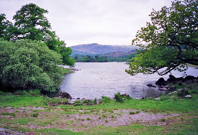 Looking from the eastern shore of Rydal Water towards Heron Island (Scan from May 1991)