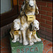 RSPCA collecting box