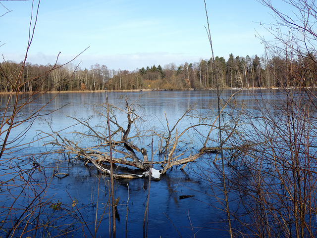 Eselweiher-Albtraum