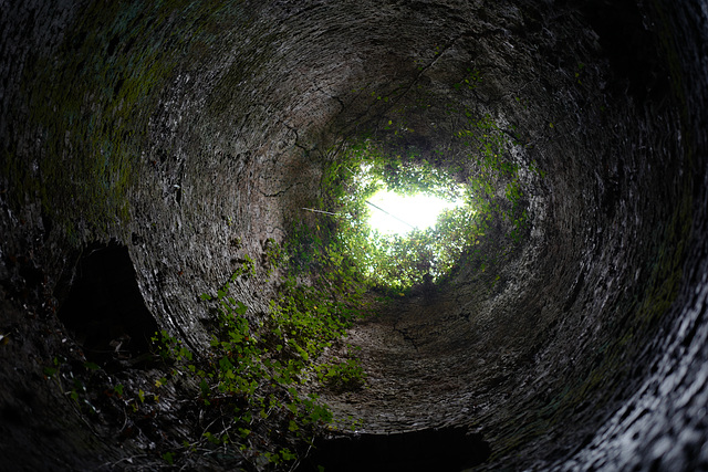 you may see a star at night