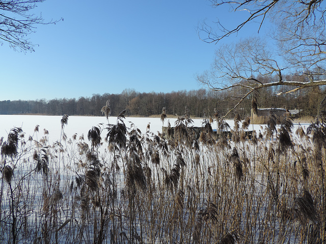 Schumkesee bei Sperenberg