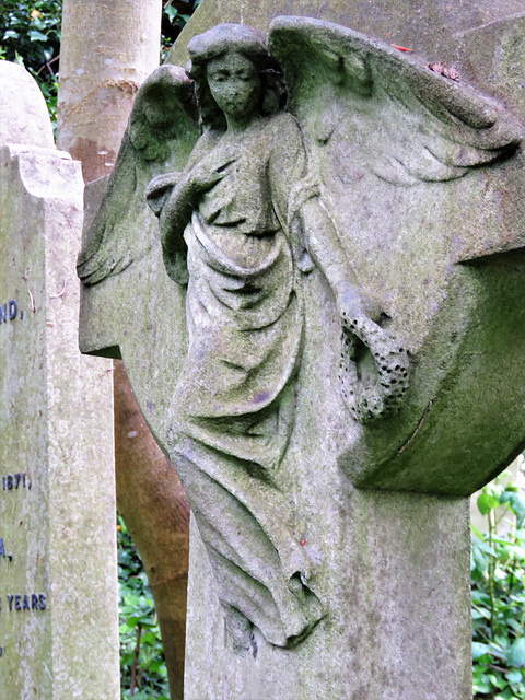 abney park cemetery, london,elegant angel with attitude  for frederick wood 1896