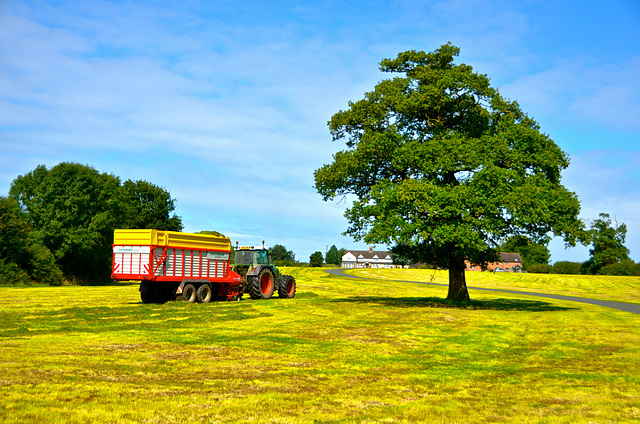 Gnosall fields