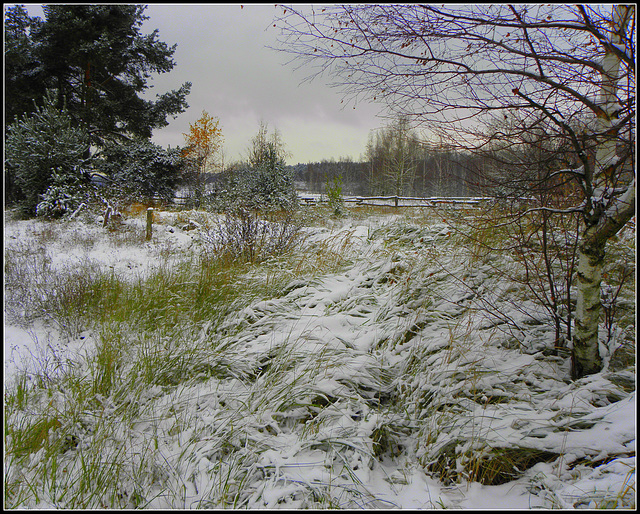 Colors in White