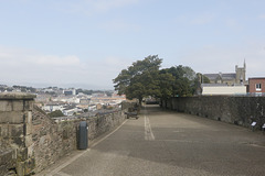 Londonderry City Walls