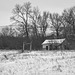 shelter in the trees B&W