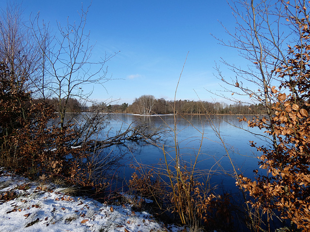 Eselweiher in blau