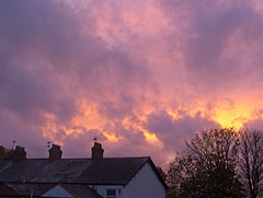 Exmouth Sunset