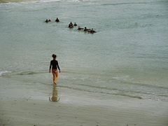 les courageux du matin