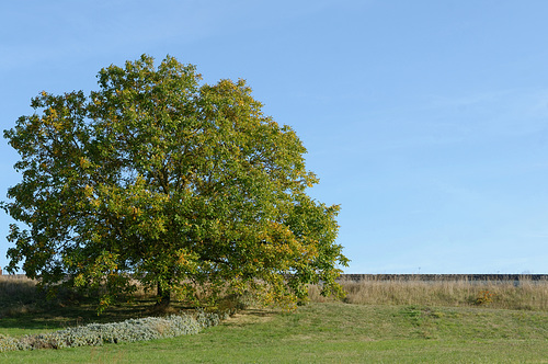 Seul mais heureux