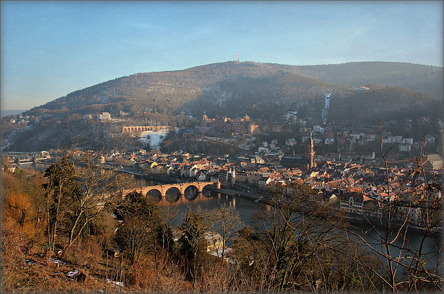 Blick auf Heidelberg