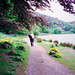 Grasmere Lake near The Lea (Scan from May 1991)