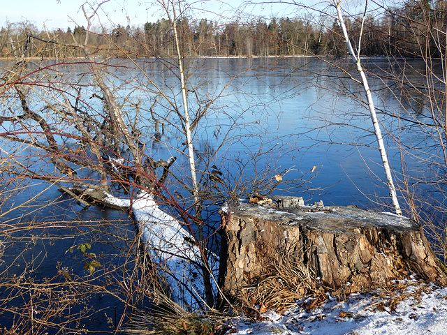 Eselweiher-Albtraum