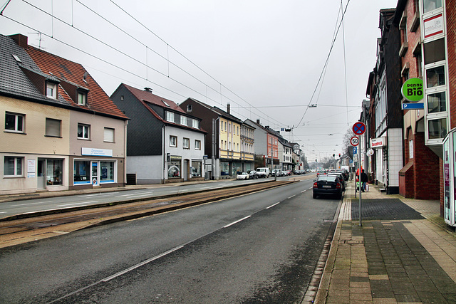 Wattenscheider Hellweg (Wattenscheid-Höntrop) / 17.02.2024