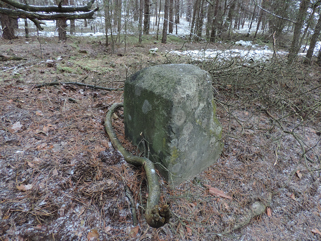 Grenzstein in der Luckenwalder Heide