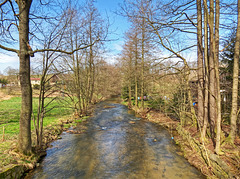 Die Bobritzsch bei Freiberg