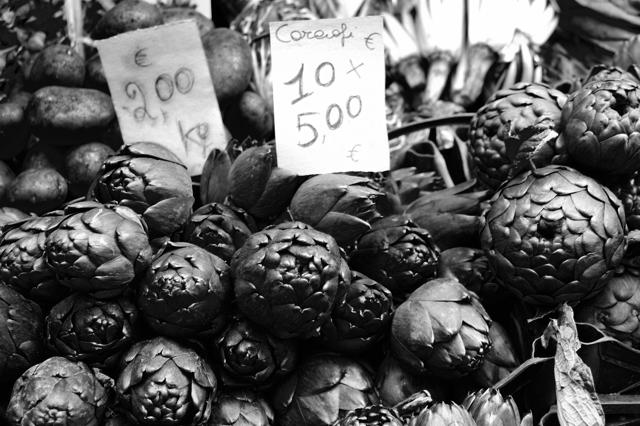 Pisa Steet 4 XPro1 mono