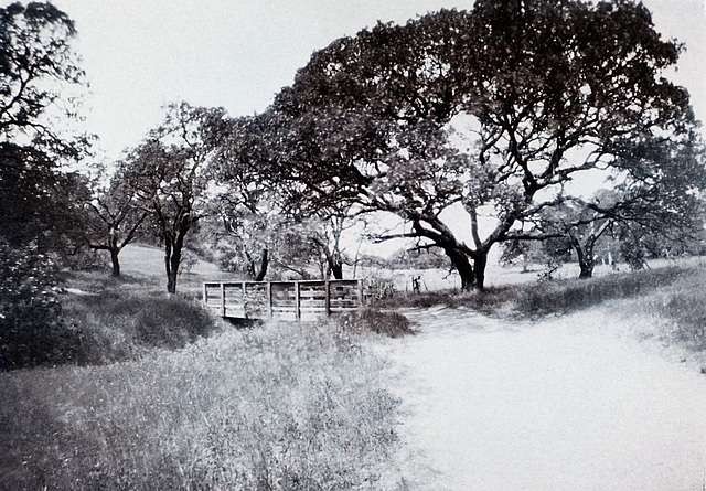 Foothill Bridge