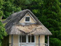 Some Re-thatching Required