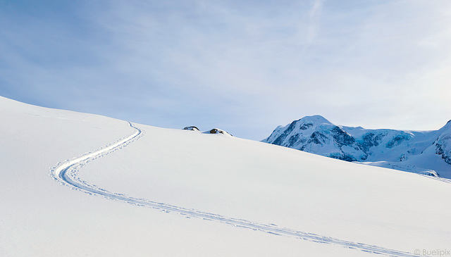 Spuren im Schnee (© Buelipix)