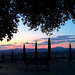 Umbria Evening View - HFF