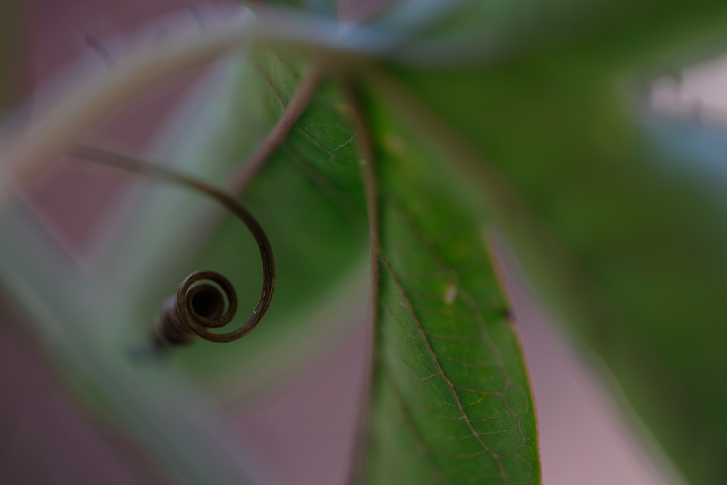 DSCF1679