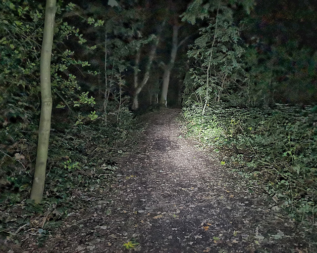 Cycling in the dark