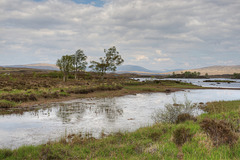 Rannoch Moor, re-visited