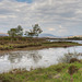 Rannoch Moor, re-visited