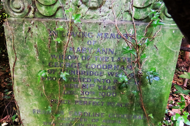 abney park cemetery, london,mary ann goodrham, 1906