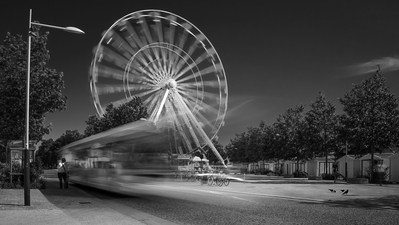 SPEED  -  La Rochelle