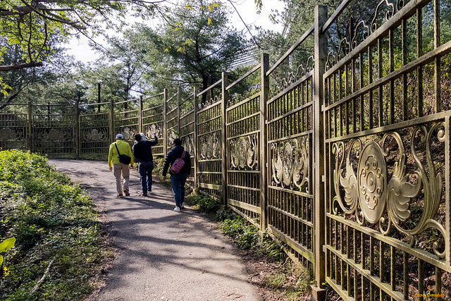 Golden Fence - HFF!!