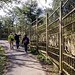 Golden Fence - HFF!!