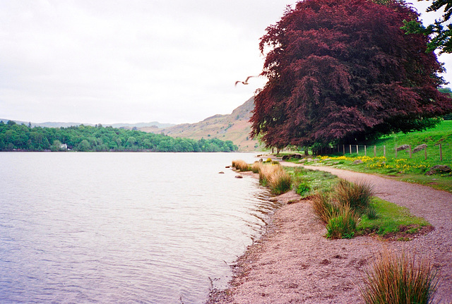 Grasmere (Scan from May 1991)