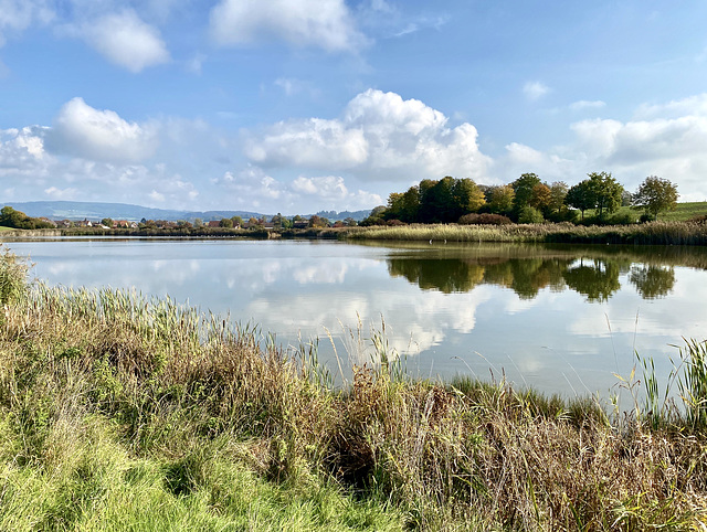 Am Weiher