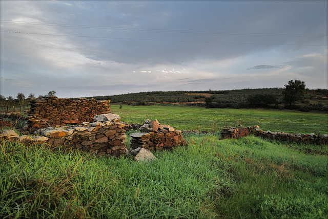 Penedos, After the rain pasture grows quickly