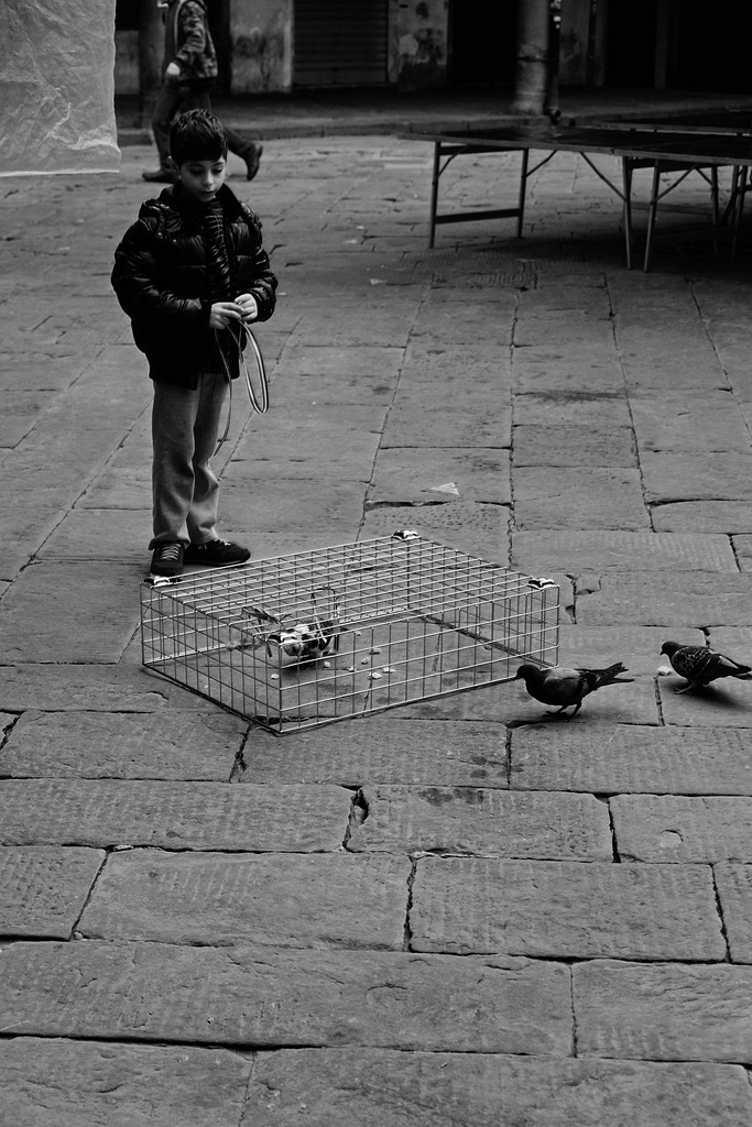 Pisa Steet 1 XPro1 mono