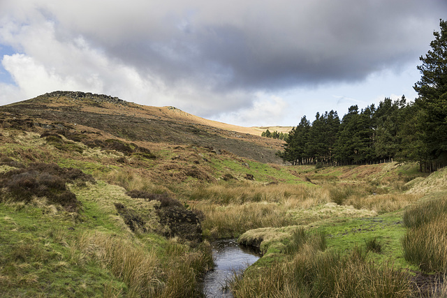 Higger Tor and Burbage Brook from packhorse bridge