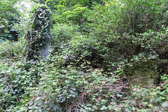 abney park cemetery, london,somewhere in here is the grave of rogue goth architect enoch bassett keeling, but a search has yet to find it